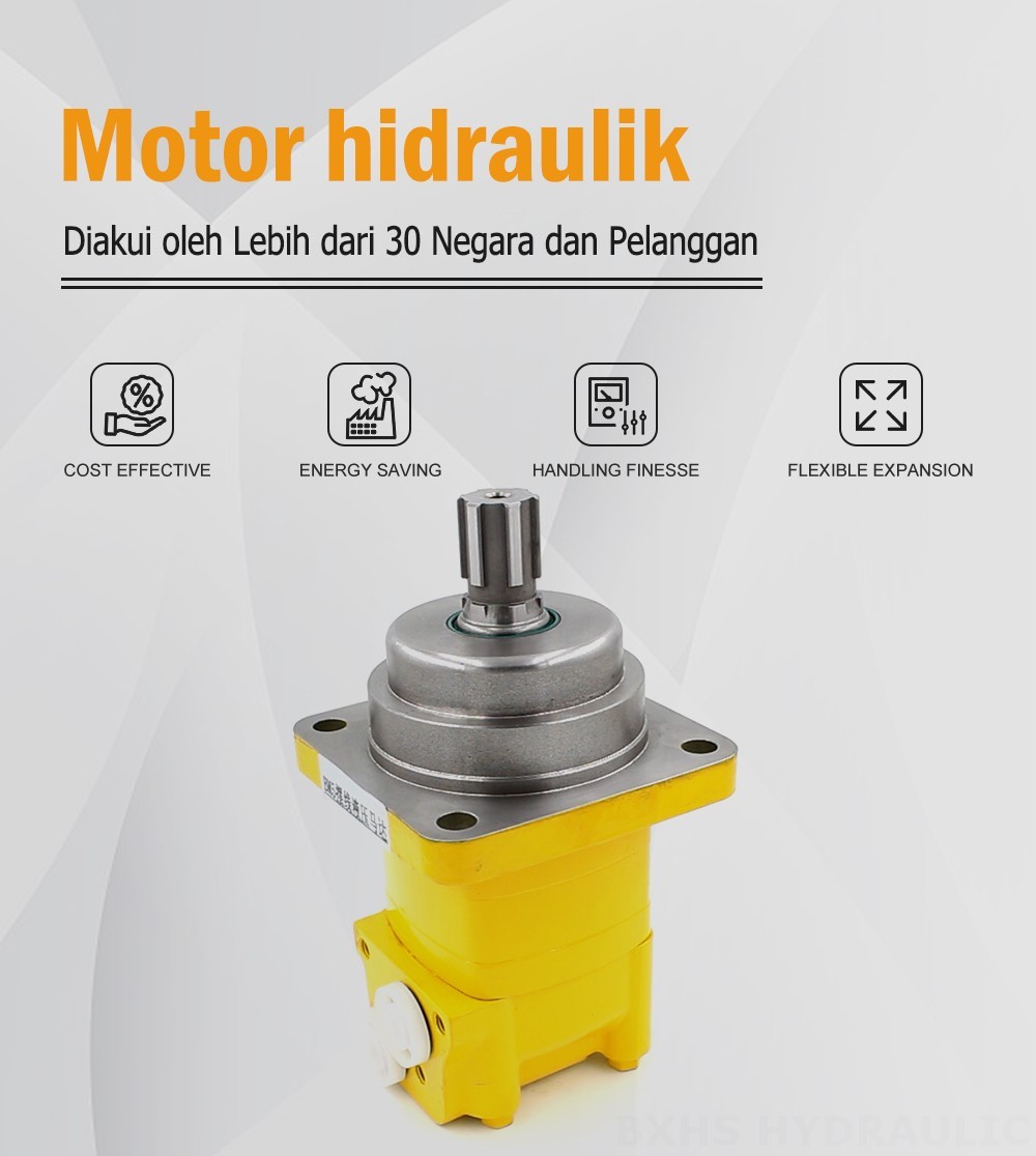 Motor Hidrolik Cycloid BM5W 195 cc/r 75 Lpm Motor Hidrolik